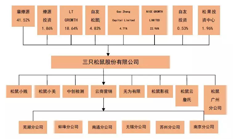 &ldquo;饞嘴零食&rdquo;三只松鼠,擬上市公司股權激勵如何操作?