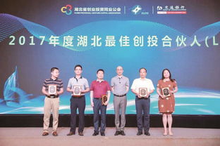 投資改革增引力，資本匯聚強(qiáng)產(chǎn)業(yè)——投資控股的發(fā)展新路徑